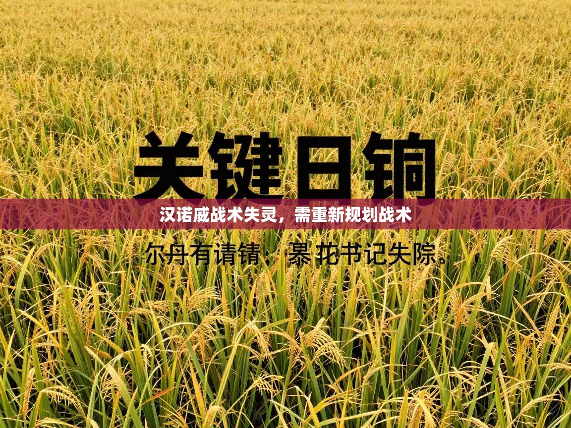 汉诺威战术失灵，需重新规划战术  第1张